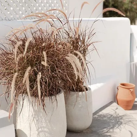 Cydonia Caves Мегалохори