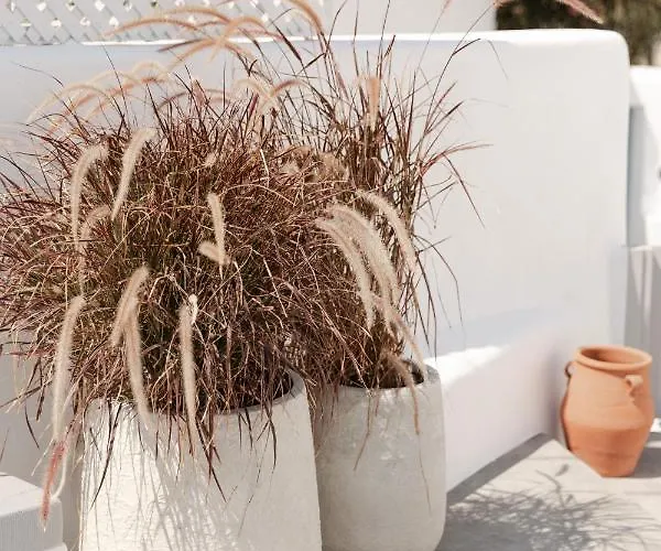 Cydonia Caves Megalochori (Santorini)